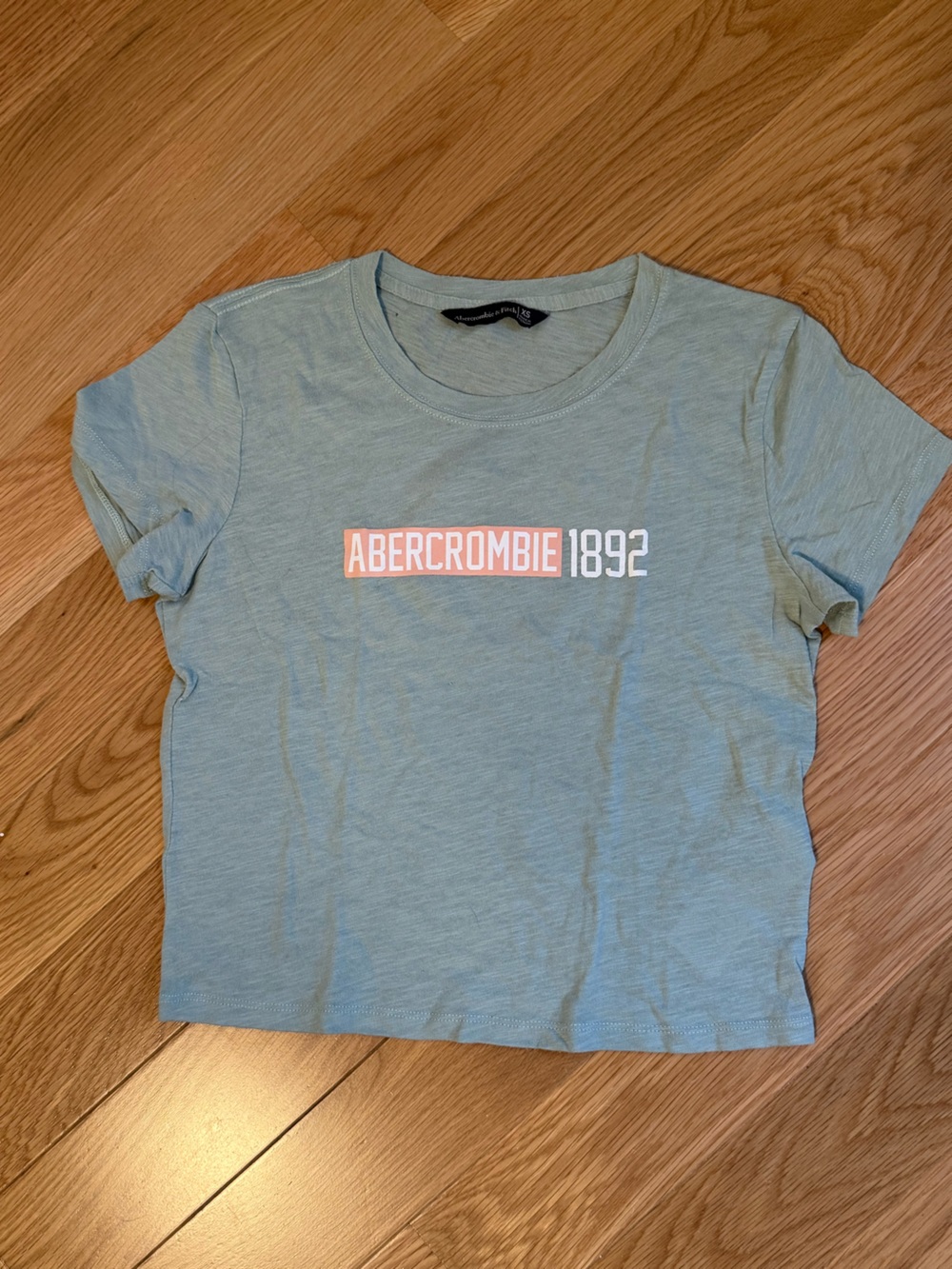 Abercrombie Mint Green Logo Tee with Pink Accent